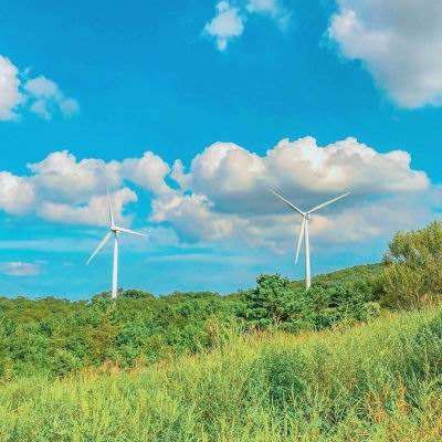 大闹天庭情迷龙女游戏下载